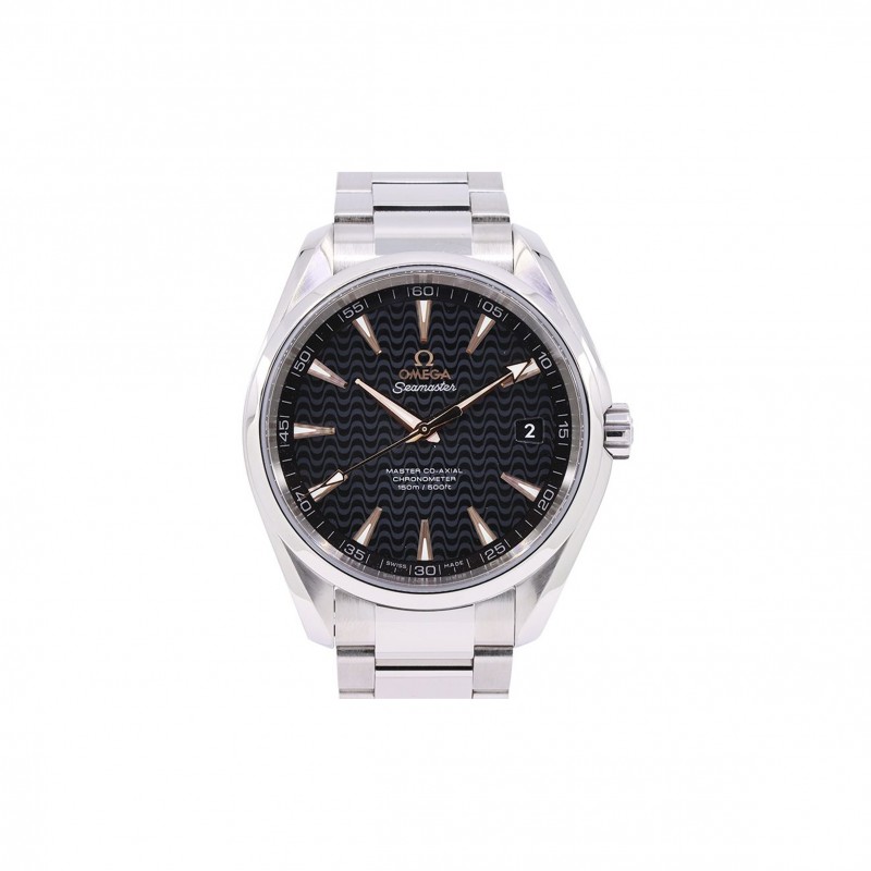 OMEGA SEAMASTER AQUA TERRA 231.10.42.21.01.006