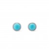 LOUIS VUITTON TURQUOISE RODEO EARRINGS M02053