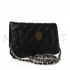 CHANEL CLASSIC WALLET ON CHAIN SILVER HARDWARE  AP0250 Y01480 C3906 （19.2*12.3*3.5cm）