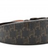 CELINE CALFSKIN TRIOMPHE CANVAS BESACE TAN (22*14*6cm) CELINE CALFSKIN TRIOMPHE CANVAS BESACE TAN (22*14*6cm)
